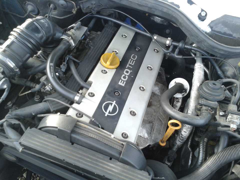 Opel omega b переборка всех бензиновых двигателей