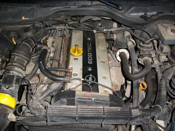 Opel omega b текущее техническое обслуживание