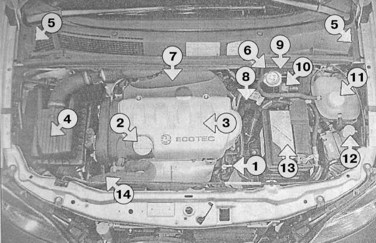 Opel astra g снятие и установка компонентов верхнего люка